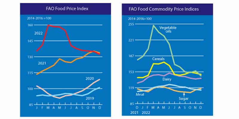 Caen los precios mundiales de los alimentos
