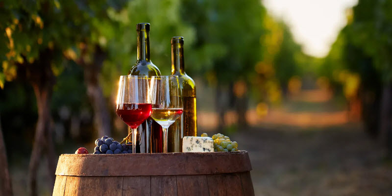 8 Secretos en el Proceso de la Elaboración del Vino