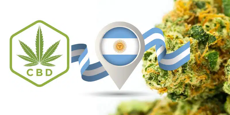 Argentina aprueba la reglamentación de la ley sobre cannabis medicinal y cáñamo industrial